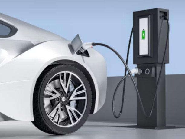 New Energy Vehicle Industry